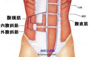 【筋トレ】脂肪を燃焼させて腹筋を割りたい！という人に伝えたい１つの条件とメニュー