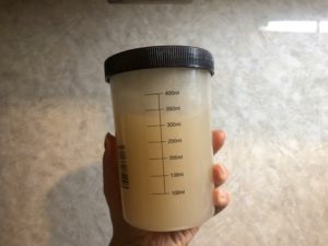 【ダイエットレシピ】オオバコで作った生チョコ風スイーツが美味しすぎる！